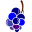 Ikona: vinograd